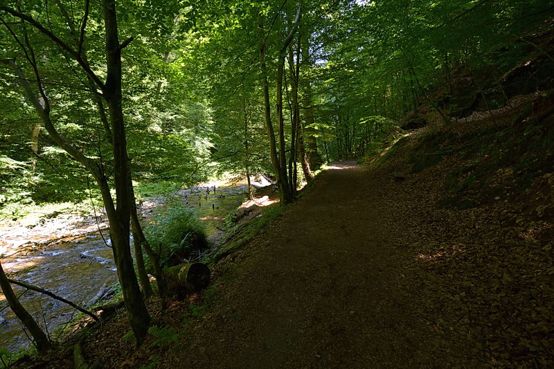 170622CP7_0210.JPG
